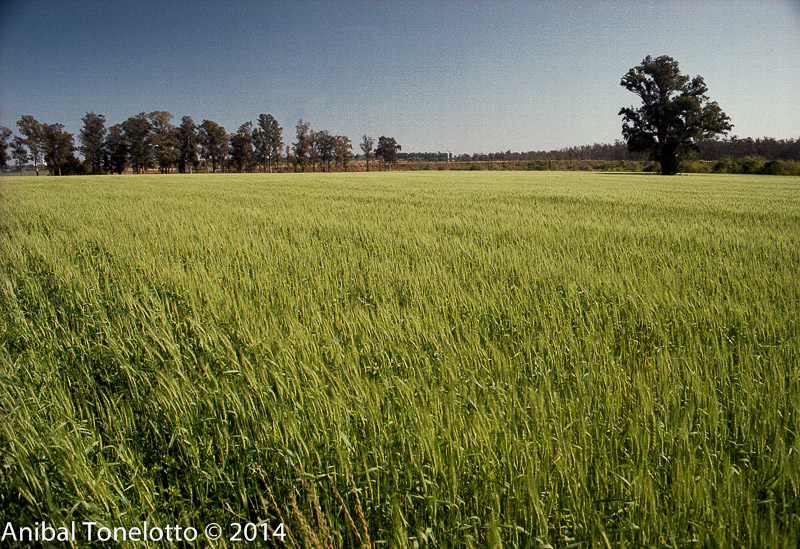 Campo e Produção 34.jpg